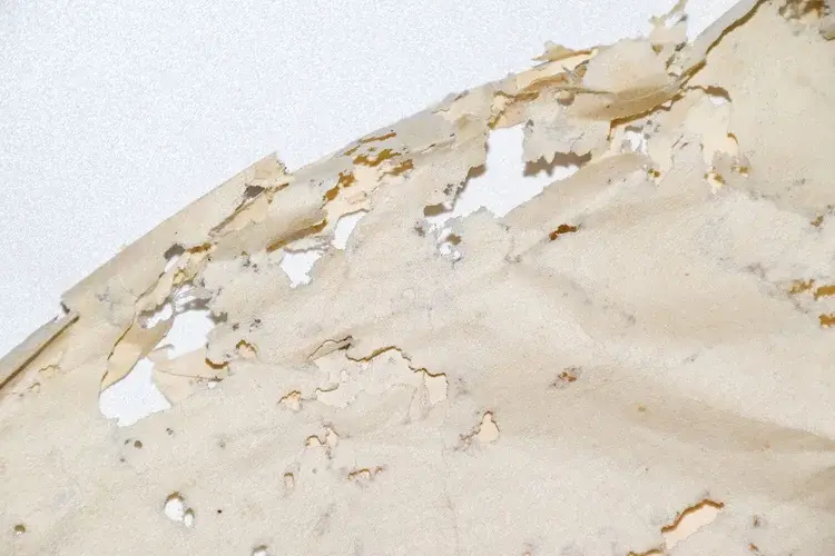 A close-up of a white ceiling with significant water damage, peeling paint, and discoloration.