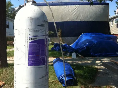 Large Vikane gas cylinder connected by hose to a tented structure, likely for fumigation; blue tarps and a water jug are on the ground nearby.